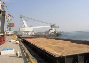По зерновому коридору прошли уже более 130 судов с украинским продовольствием