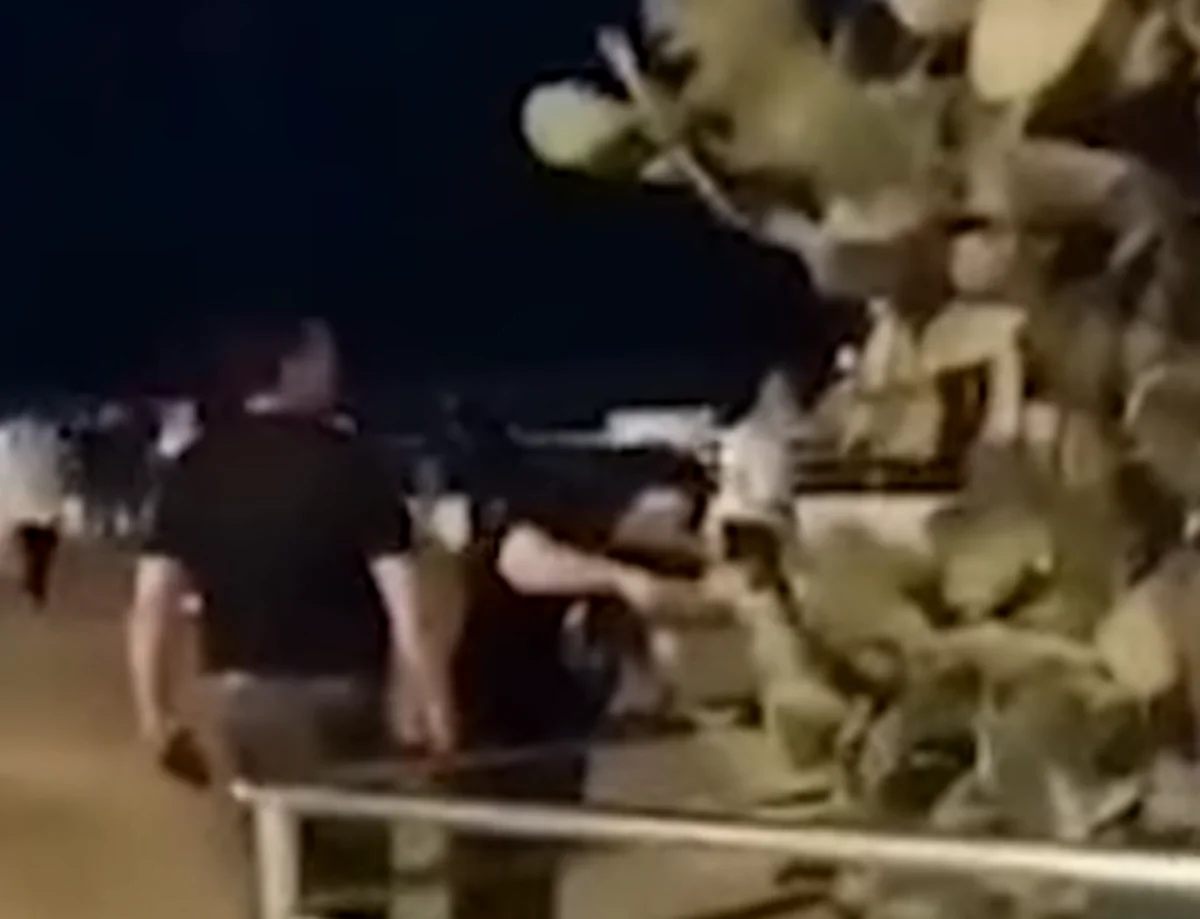 “Ağacları yazaraq, budağını qopararaq sadəcə özümüzə zərər vurmuş oluruq” - RƏY