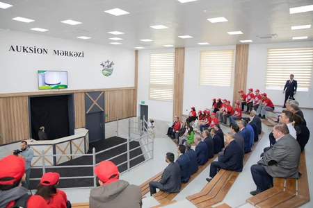 Qobustanda növbəti Aqrar innovasiya festivalı keçirilib