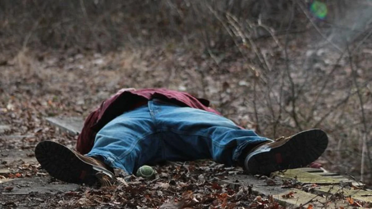 Şəmkirdə yol kənarında meyit tapılıb