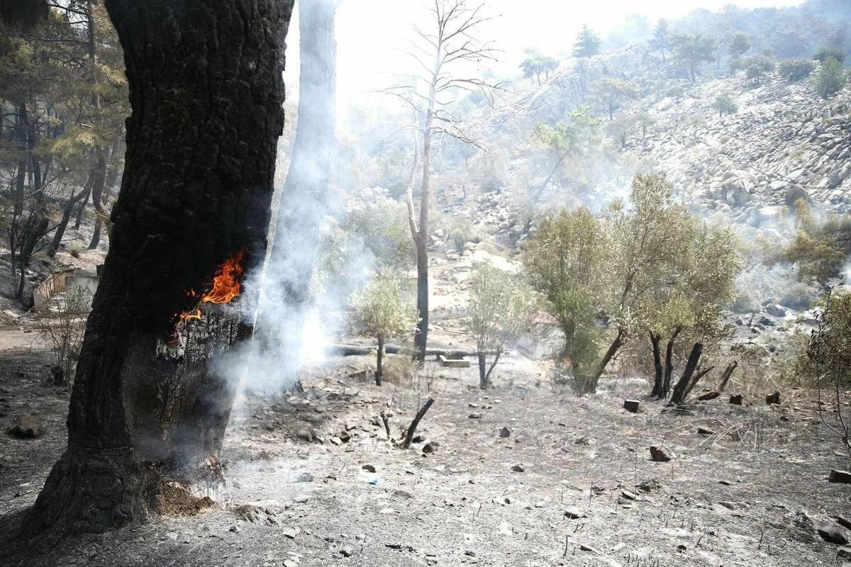 Пожары в турецкой Анталье почти потушены