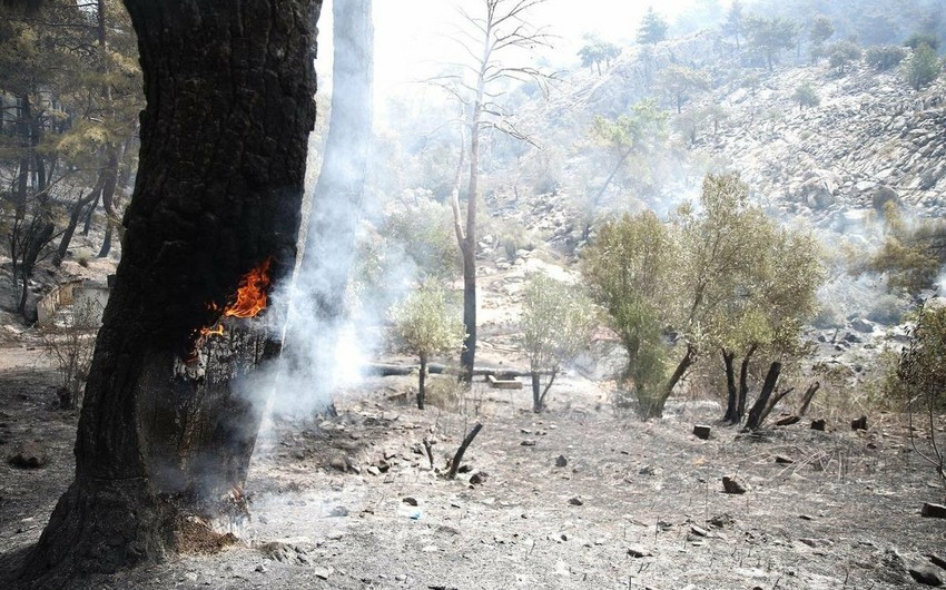İbradi istisna olmaqla Antalyanın hər yerində yanğınlar söndürülüb