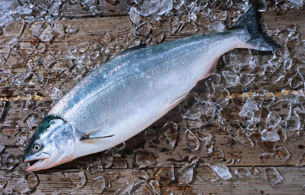 Kazakhstan resumes carp exports to Azerbaijan