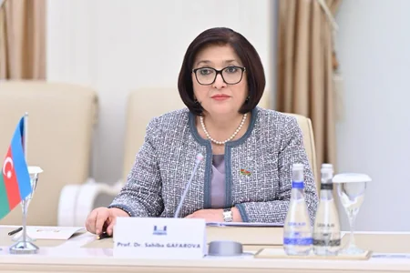 Председатель Милли Меджлиса встретилась с президентом ПА ОБСЕ