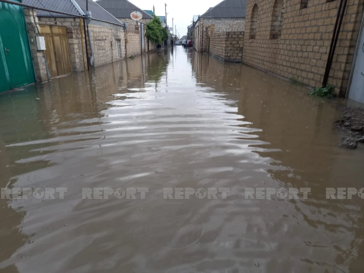 Gəncədə yağış suları evlərə dolub - VİDEO