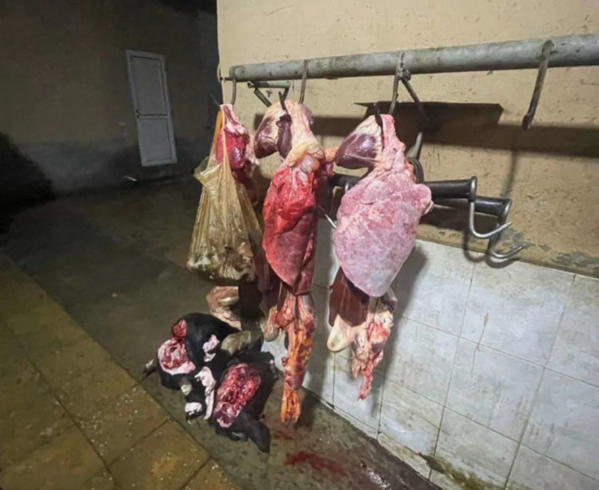 Ağcabədidə istehlaka yararsız 171 kq ət və subməhsulun satışının qarşısı alınıb