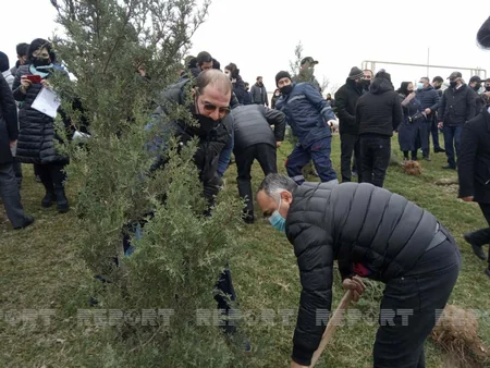 Vətən müharibəsindəki qələbənin 100 günü münasibətilə ağac əkildi