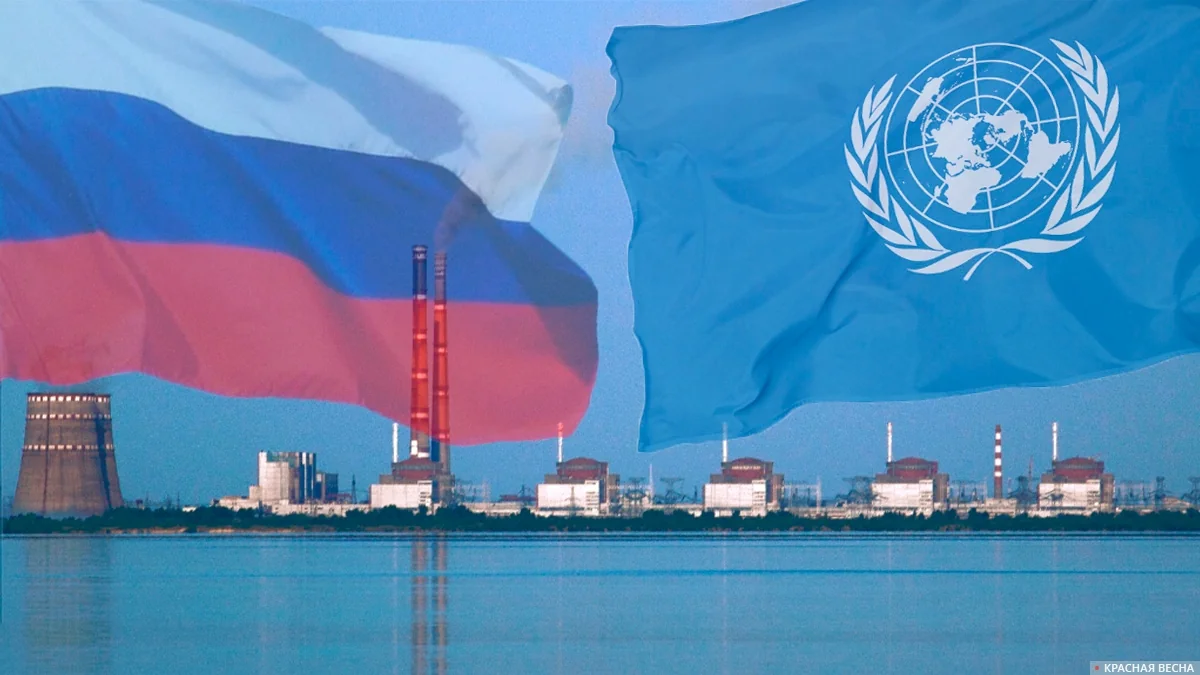 Главы МАГАТЭ и Росатома начали переговоры в Москве