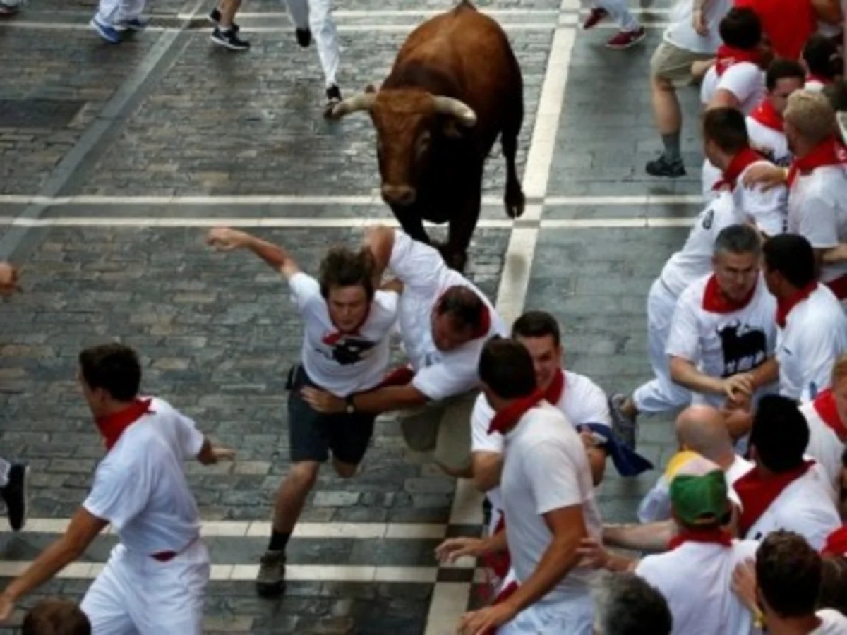 ​В ходе традиционного бега быков в Испании пострадали 14 человек