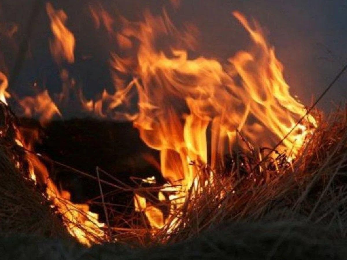 В Джалилабаде возник пожар
