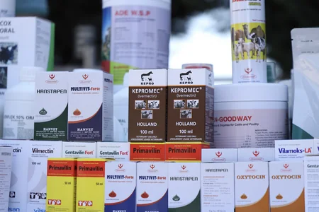 Qazaxda Aqrar Biznes Festivalı keçirilib