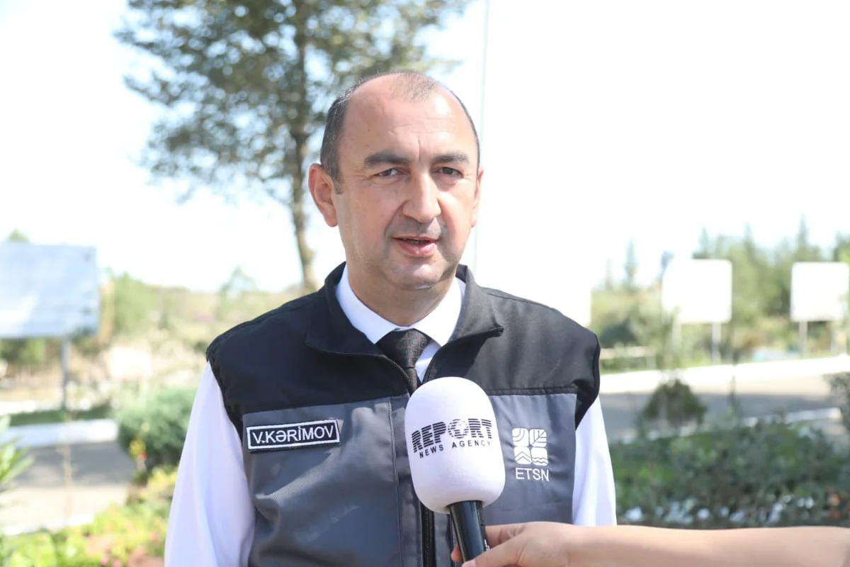 Работа над новым изданием Красной книги близится к завершению