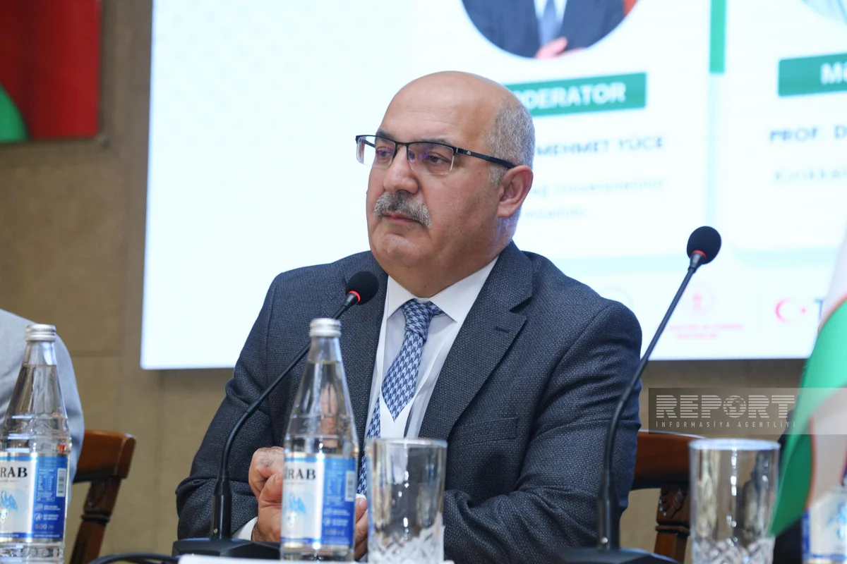 Mehmet Yuce: Implementing Türkiye's green energy experience could yield significant results in Karabakh