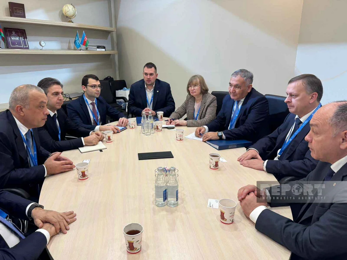 Azərbaycan Rusiya ilə Xəzərdəki ekoloji problemlərin həllini müzakirə edib