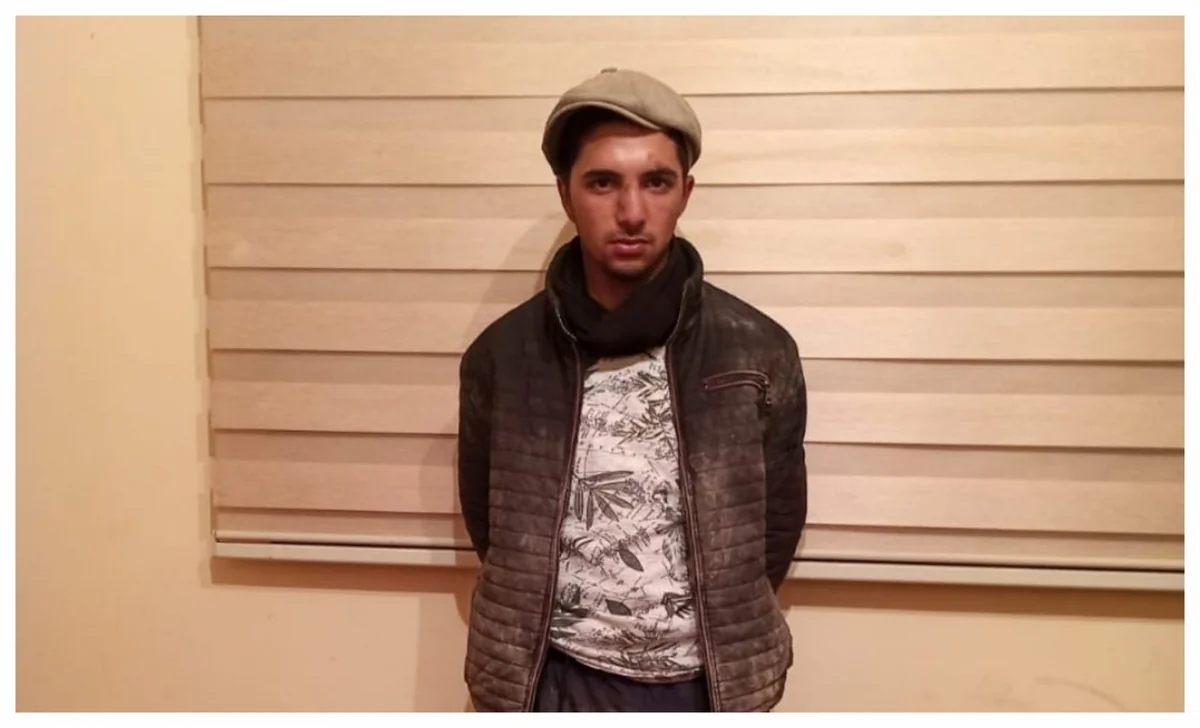 Azərbaycanın dövlət sərhədini pozan şəxs saxlanılıb