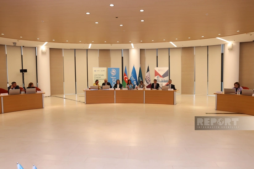 ICE Futures Europe: Dünyada yaşıl istiqamətlər üzrə investisiya qoyuluşu mexanizmləri qurulmalıdır