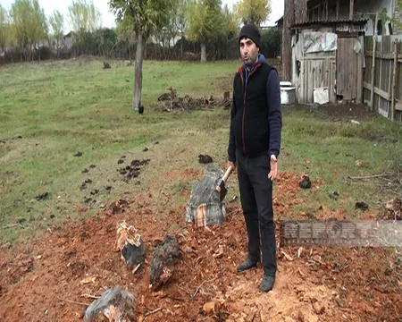 Ağdaşın Qaradeyin kəndinin yanacaq problemi: qaz yoxdur, odun tapmaq asan deyil