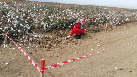 ANAMA 14 raket aşkarlayıb