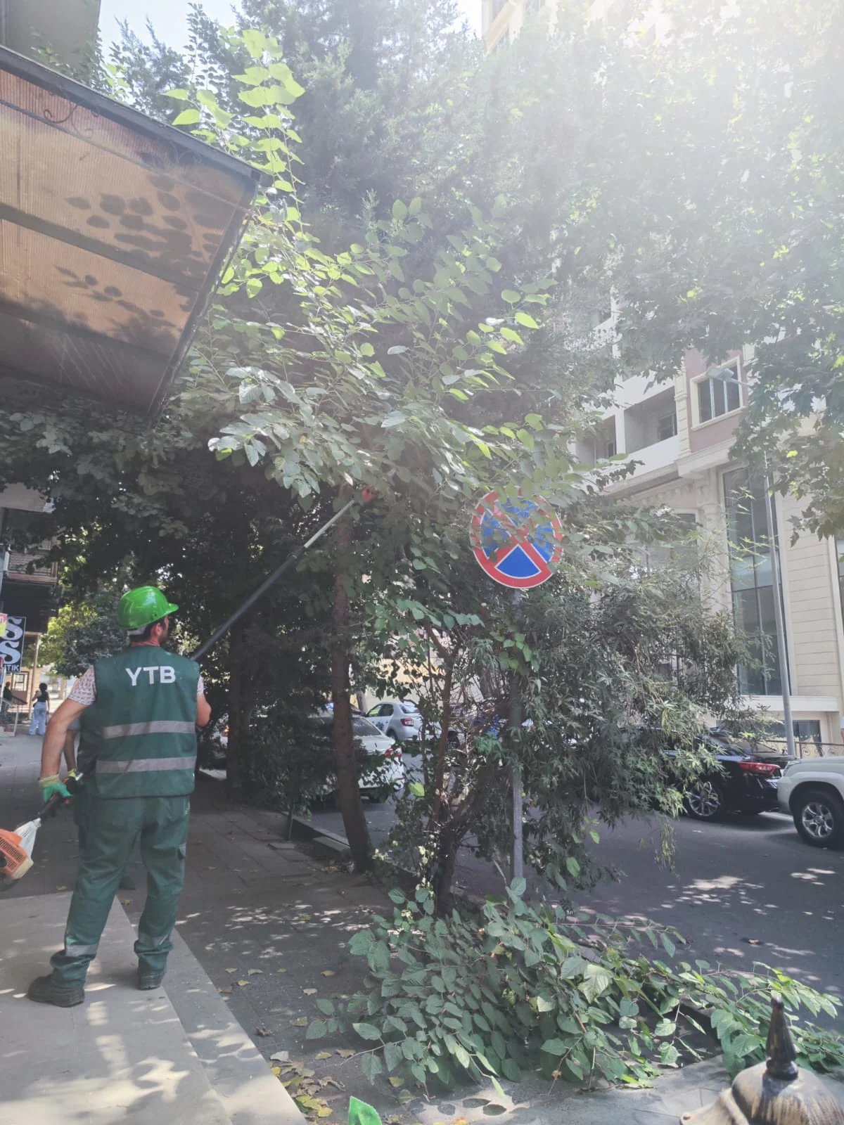 Təsərrüfat Birliyi: Yol hərəkət nişanlarının görünməsinə mane olan ağaclar budanır