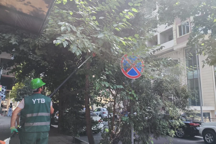 Təsərrüfat Birliyi: Yol hərəkət nişanlarının görünməsinə mane olan ağaclar budanır