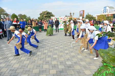 Lənkəranda III Çay, Çəltik, Sitrus Festivalı keçiriləcək - FOTO - VİDEO
