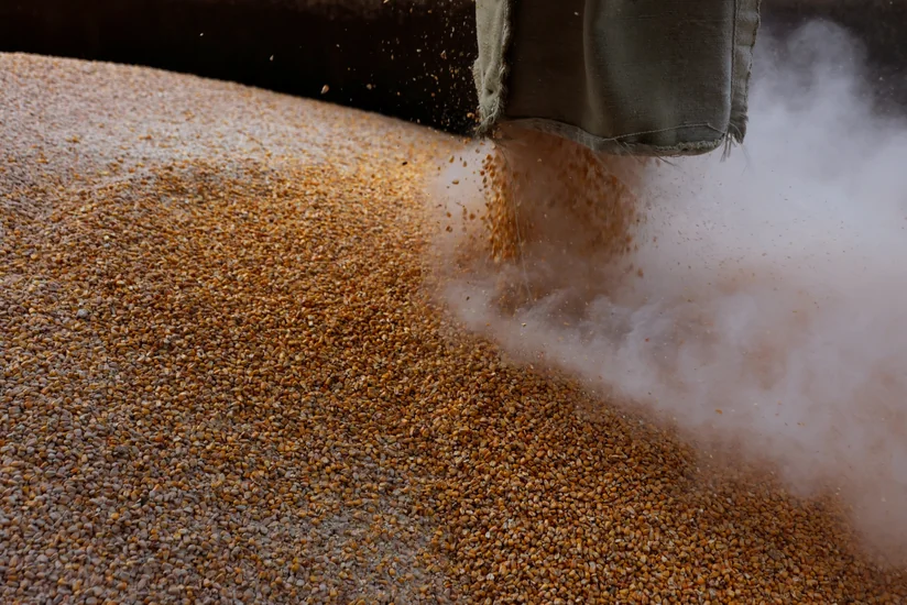 Британия намерена работать с G7 над вывозом украинского зерна