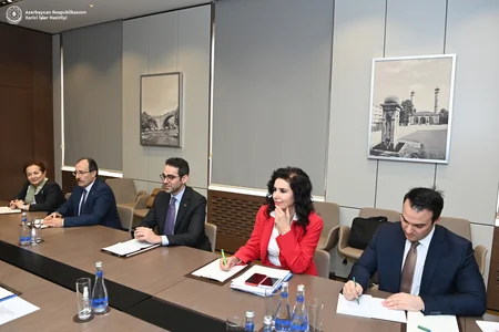 Azerbaijani FM informs Turkish side about latest steps taken for peace with Armenia