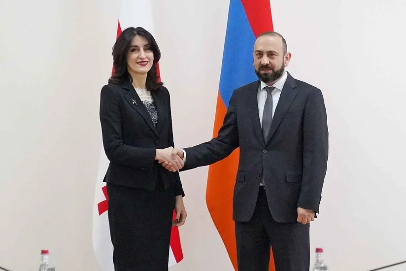 Главы МИД Армении и Грузии обсудили региональные вопросы