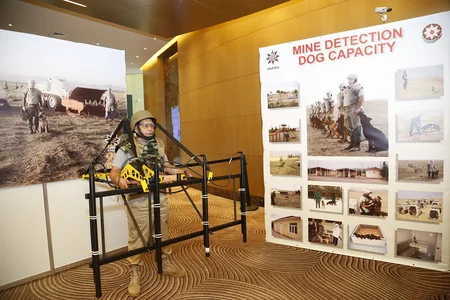 ANAMA-nın yaranmasının 20-ci ildönümü münasibətilə tədbir keçirilib