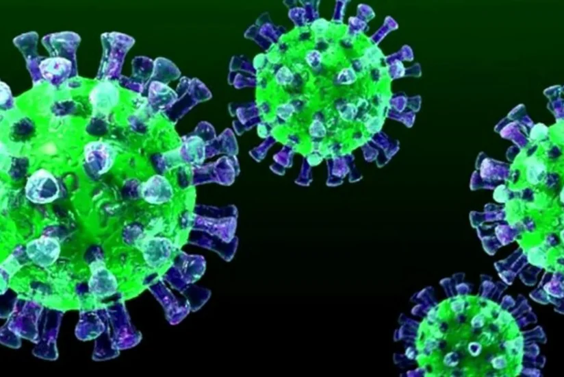 В Испании зафиксированы первые случаи одновременного заражения гриппом и COVID-19