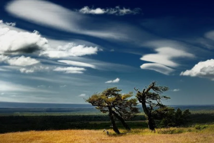 Mayın 30-dan Bakıda şimal-qərb küləyi güclənəcək - XƏBƏRDARLIQ