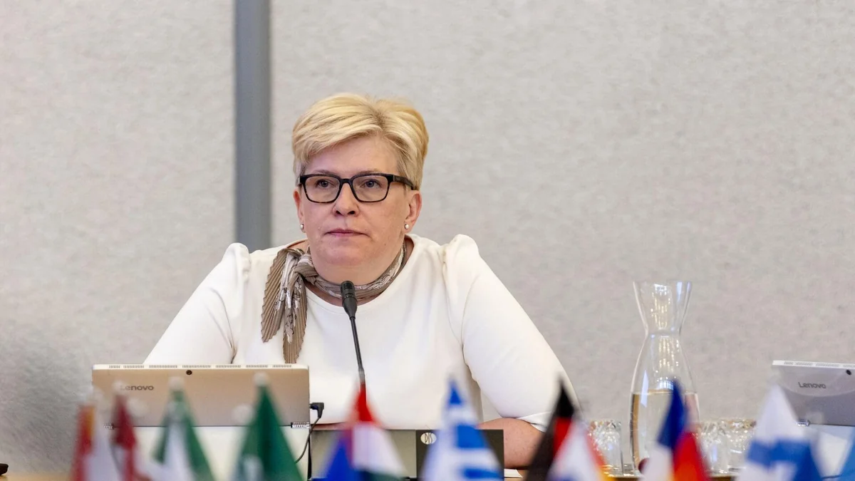 Литва намерена ограничить поток въезжающих в страну белорусов