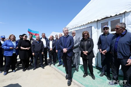 YAP Bakıda ağacəkmə aksiyası keçirib