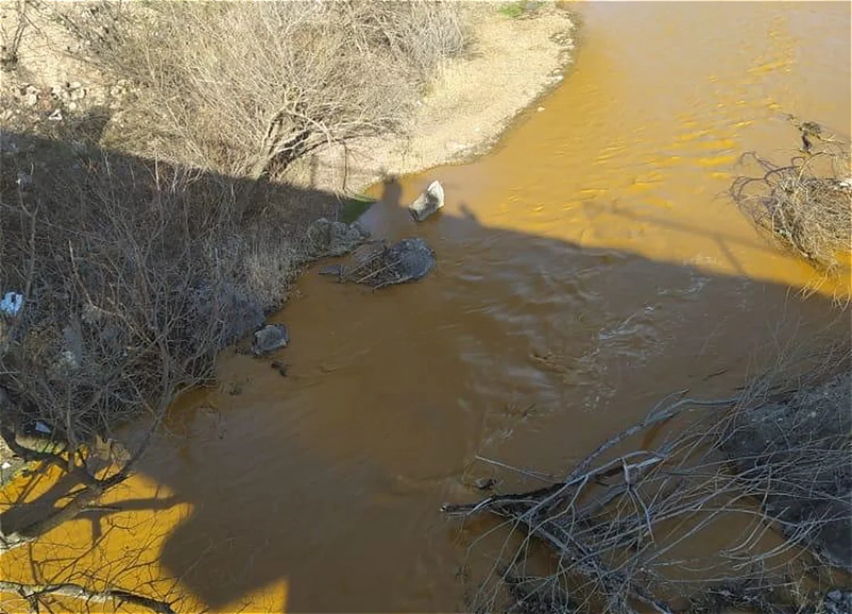 MP: COP29 should draw attention to poisoning of rivers coming from Armenia to Azerbaijan