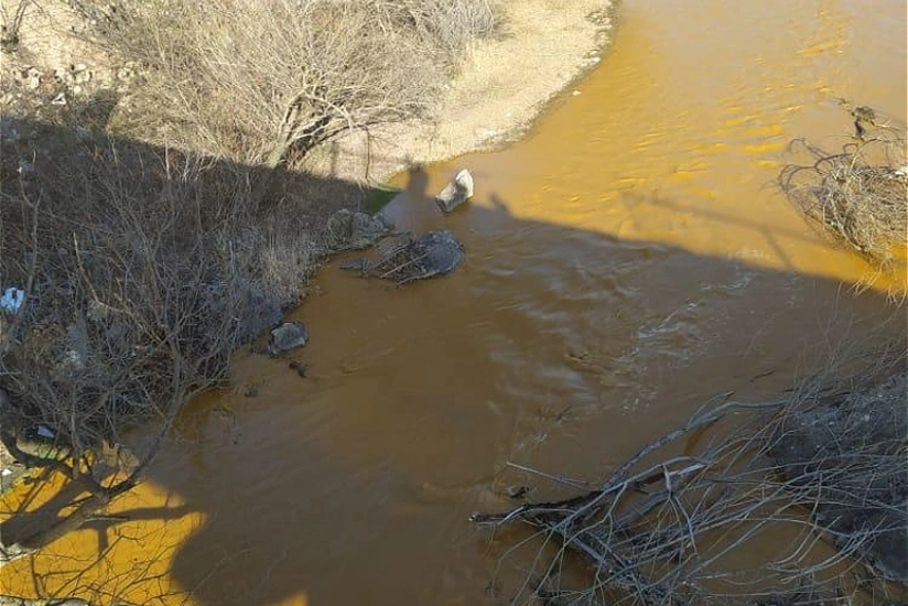 MP: COP29 should draw attention to poisoning of rivers coming from Armenia to Azerbaijan