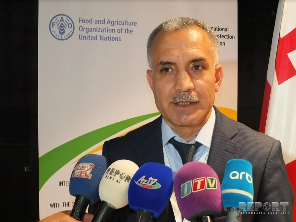 Direktor: Beynəlxalq fitonəzarət sistemindəki qaydalar sərtləşdiriləcək