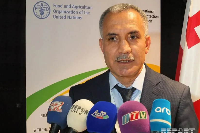 Direktor: Beynəlxalq fitonəzarət sistemindəki qaydalar sərtləşdiriləcək