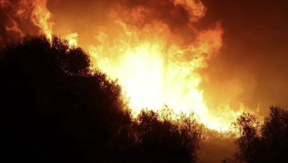 В Турции произошел лесной пожар