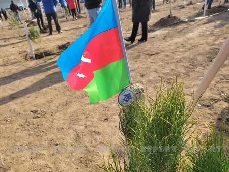 Xocasəndə 2000-dən çox müxtəlif cinsli ağac əkilib