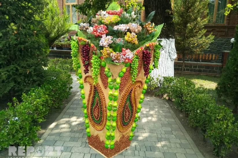 Zaqatalada II Beynəlxalq fındıq, qoz və şabalıd festivalı keçirilir - FOTO