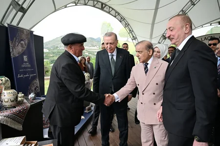 Azərbaycan və Türkiyə prezidentləri, Pakistanın Baş naziri Laçın şəhərində seyrəngahda olublar