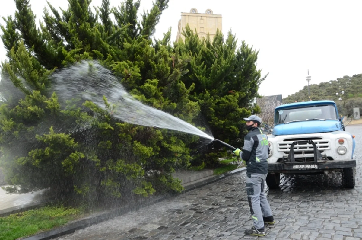 Bakıda ağaclar yuyulur, yaşıllıqlara qulluq göstərilir