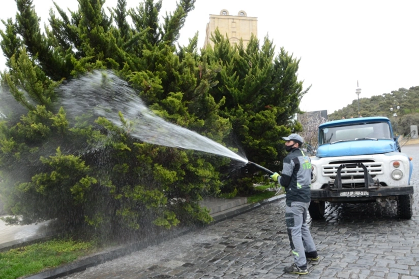 Bakıda ağaclar yuyulur, yaşıllıqlara qulluq göstərilir
