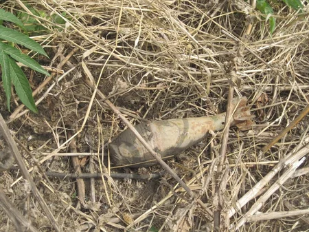 ANAMA finds grad rocket engine in Tartar and Gazakh