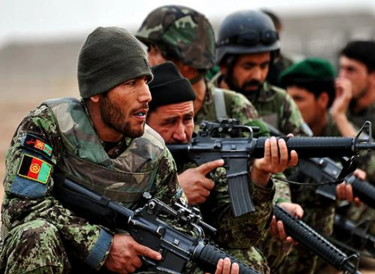 Taliban shadow deputy governor killed in Afghanistan