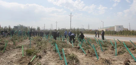 Balaxanı tullantı poliqonunda 1000 ədəd ağac əkilib - FOTO