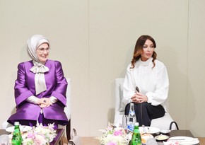 Azərbaycanın və Türkiyənin birinci xanımlarının görüşü olub
