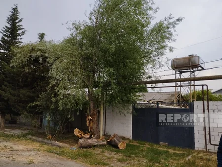 Salyanda elektrik enerjisinin verilişi bərpa olunub - YENİLƏNİB