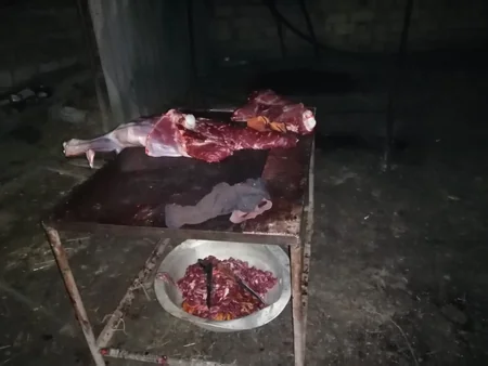 Bakıda at əti satmaq istəyən İsmayıllı sakini saxlanılıb