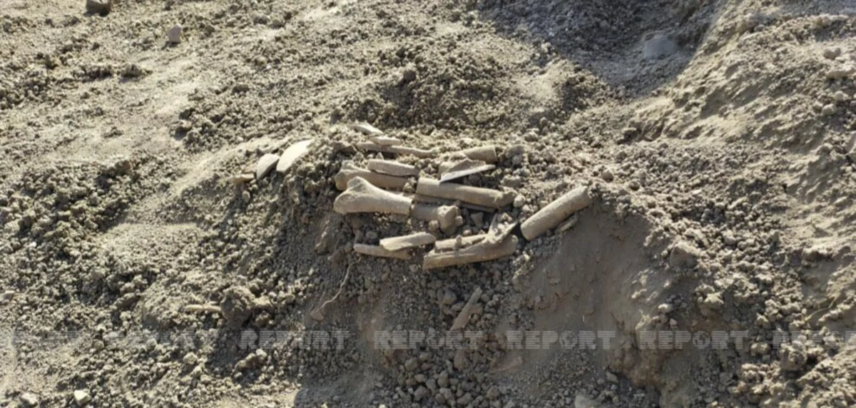 В Азербайджане найдено древнее захоронение
